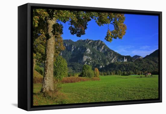 Germany, Bavaria, Cloudless Autumn Day, Schwangau Near FŸssen, Neuschwanstein Castle-Uwe Steffens-Framed Premier Image Canvas