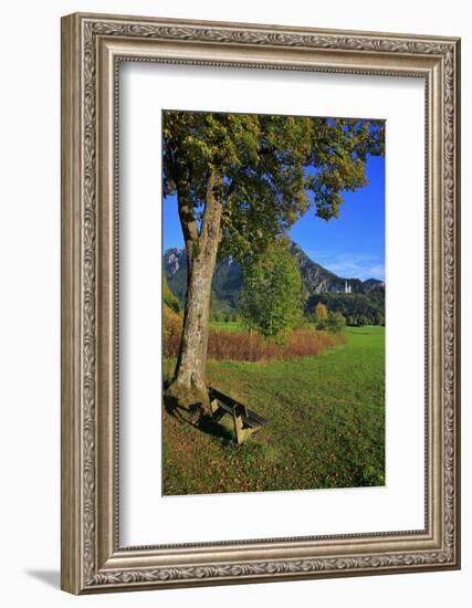 Germany, Bavaria, Cloudless Autumn Day, Schwangau Near FŸssen, Neuschwanstein Castle-Uwe Steffens-Framed Photographic Print