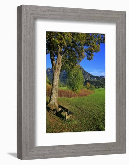 Germany, Bavaria, Cloudless Autumn Day, Schwangau Near FŸssen, Neuschwanstein Castle-Uwe Steffens-Framed Photographic Print