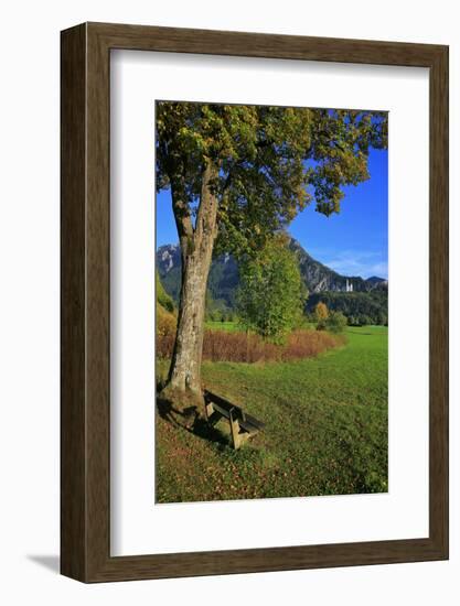 Germany, Bavaria, Cloudless Autumn Day, Schwangau Near FŸssen, Neuschwanstein Castle-Uwe Steffens-Framed Photographic Print