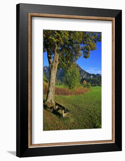 Germany, Bavaria, Cloudless Autumn Day, Schwangau Near FŸssen, Neuschwanstein Castle-Uwe Steffens-Framed Photographic Print