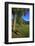 Germany, Bavaria, Cloudless Autumn Day, Schwangau Near FŸssen, Neuschwanstein Castle-Uwe Steffens-Framed Photographic Print