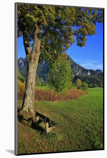 Germany, Bavaria, Cloudless Autumn Day, Schwangau Near FŸssen, Neuschwanstein Castle-Uwe Steffens-Mounted Photographic Print