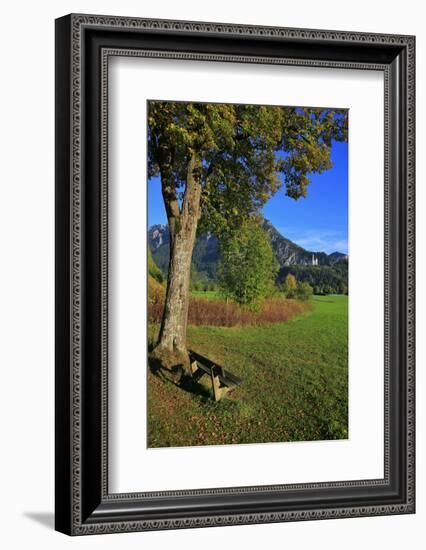 Germany, Bavaria, Cloudless Autumn Day, Schwangau Near FŸssen, Neuschwanstein Castle-Uwe Steffens-Framed Photographic Print