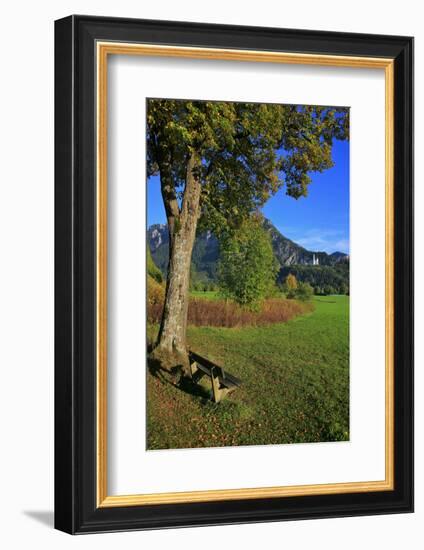 Germany, Bavaria, Cloudless Autumn Day, Schwangau Near FŸssen, Neuschwanstein Castle-Uwe Steffens-Framed Photographic Print