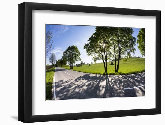 Germany, Bavaria, Country Road in Summer-Ralf Gerard-Framed Photographic Print