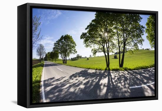 Germany, Bavaria, Country Road in Summer-Ralf Gerard-Framed Premier Image Canvas