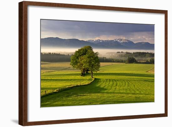 Germany, Bavaria, Faistenberg, View at Zwiesel, Benediktenwand, Bavarian Alpine Foothills-Bernd Rommelt-Framed Photographic Print