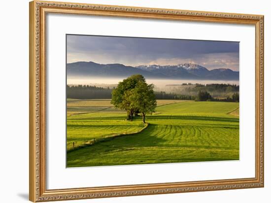 Germany, Bavaria, Faistenberg, View at Zwiesel, Benediktenwand, Bavarian Alpine Foothills-Bernd Rommelt-Framed Photographic Print