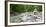 Germany, Bavaria, Garmisch-Partenkirchen, Crains on the Partnach (River-Andreas Vitting-Framed Photographic Print