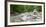 Germany, Bavaria, Garmisch-Partenkirchen, Crains on the Partnach (River-Andreas Vitting-Framed Photographic Print