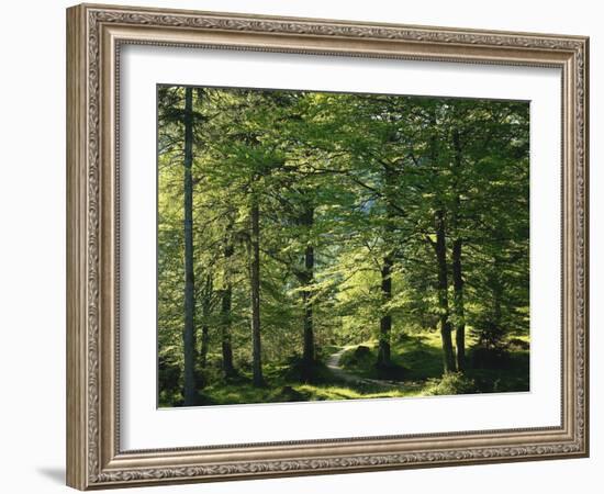 Germany, Bavaria, Geroldsee, Karwendel Mountains, Winter-Thonig-Framed Photographic Print