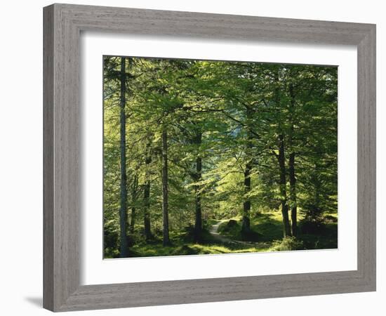 Germany, Bavaria, Geroldsee, Karwendel Mountains, Winter-Thonig-Framed Photographic Print