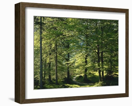 Germany, Bavaria, Geroldsee, Karwendel Mountains, Winter-Thonig-Framed Photographic Print