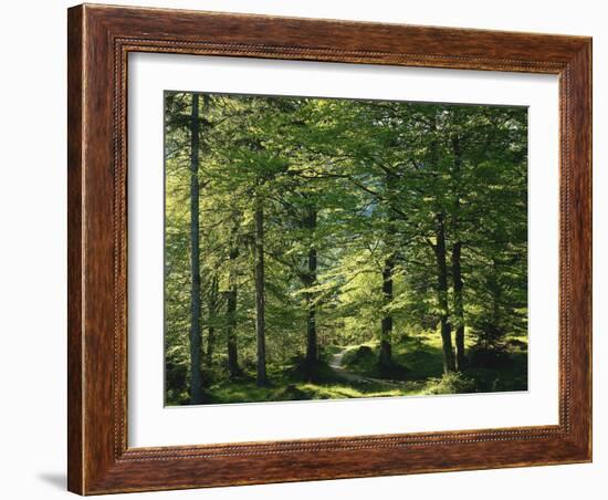 Germany, Bavaria, Geroldsee, Karwendel Mountains, Winter-Thonig-Framed Photographic Print