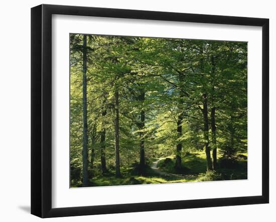 Germany, Bavaria, Geroldsee, Karwendel Mountains, Winter-Thonig-Framed Photographic Print