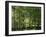 Germany, Bavaria, Geroldsee, Karwendel Mountains, Winter-Thonig-Framed Photographic Print