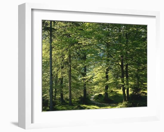 Germany, Bavaria, Geroldsee, Karwendel Mountains, Winter-Thonig-Framed Photographic Print