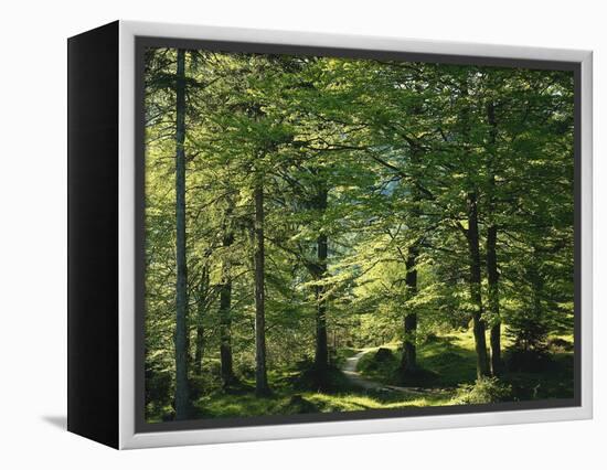 Germany, Bavaria, Geroldsee, Karwendel Mountains, Winter-Thonig-Framed Premier Image Canvas