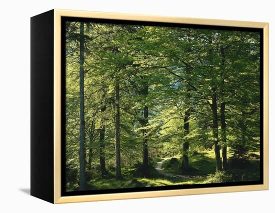 Germany, Bavaria, Geroldsee, Karwendel Mountains, Winter-Thonig-Framed Premier Image Canvas