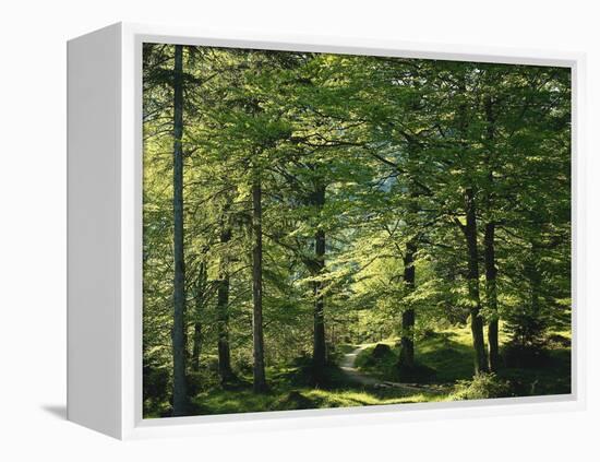 Germany, Bavaria, Geroldsee, Karwendel Mountains, Winter-Thonig-Framed Premier Image Canvas