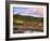 Germany, Bavaria, Heidelberg, Overview of Alte Brucke and the River Neckar-Shaun Egan-Framed Photographic Print