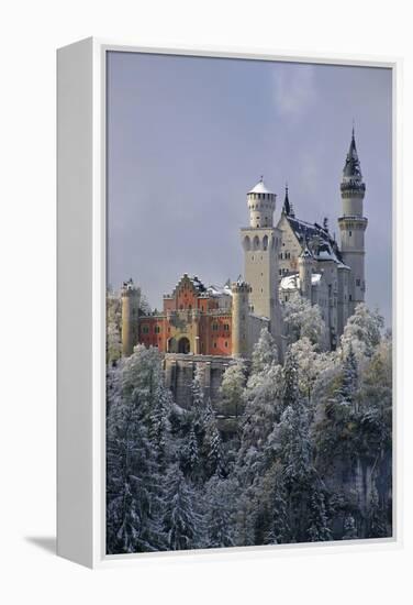 Germany, Bavaria, Neuschwanstein Castle in Winter, Morning Fog, Schwangau Near FŸssen-Uwe Steffens-Framed Premier Image Canvas