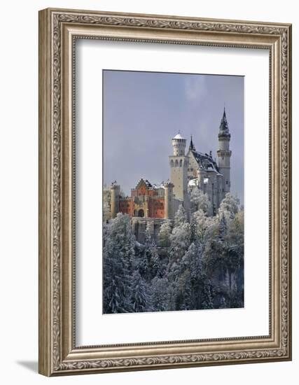 Germany, Bavaria, Neuschwanstein Castle in Winter, Morning Fog, Schwangau Near FŸssen-Uwe Steffens-Framed Photographic Print