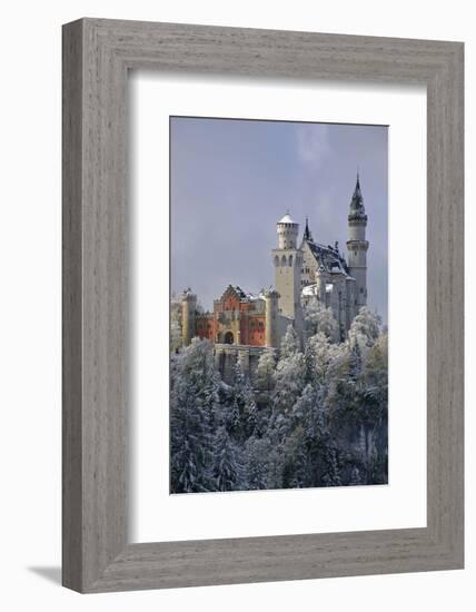 Germany, Bavaria, Neuschwanstein Castle in Winter, Morning Fog, Schwangau Near FŸssen-Uwe Steffens-Framed Photographic Print