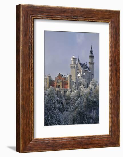 Germany, Bavaria, Neuschwanstein Castle in Winter, Morning Fog, Schwangau Near FŸssen-Uwe Steffens-Framed Photographic Print