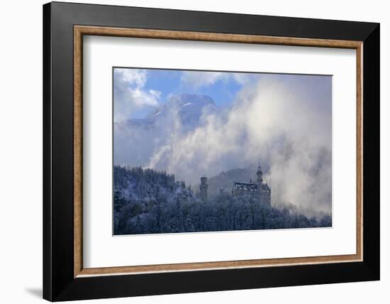 Germany, Bavaria, Neuschwanstein Castle in Winter, Morning Fog, Schwangau Near FŸssen-Uwe Steffens-Framed Photographic Print