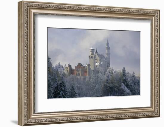 Germany, Bavaria, Neuschwanstein Castle in Winter, Morning Fog, Schwangau Near FŸssen-Uwe Steffens-Framed Photographic Print