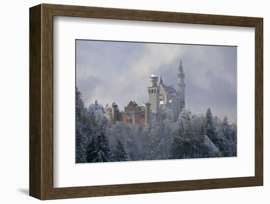 Germany, Bavaria, Neuschwanstein Castle in Winter, Morning Fog, Schwangau Near FŸssen-Uwe Steffens-Framed Photographic Print