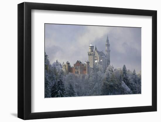 Germany, Bavaria, Neuschwanstein Castle in Winter, Morning Fog, Schwangau Near FŸssen-Uwe Steffens-Framed Photographic Print