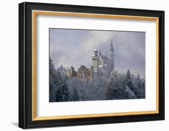 Germany, Bavaria, Neuschwanstein Castle in Winter, Morning Fog, Schwangau Near FŸssen-Uwe Steffens-Framed Photographic Print