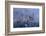 Germany, Bavaria, Neuschwanstein Castle in Winter, Morning Fog, Schwangau Near FŸssen-Uwe Steffens-Framed Photographic Print