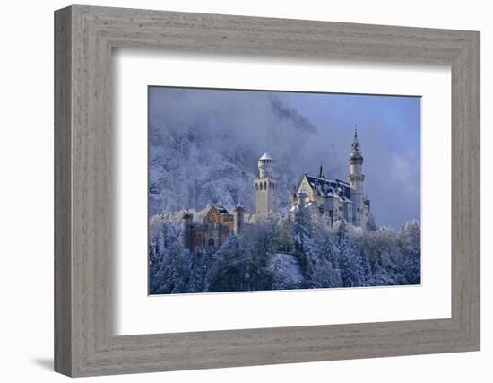 Germany, Bavaria, Neuschwanstein Castle in Winter, Morning Fog, Schwangau Near FŸssen-Uwe Steffens-Framed Photographic Print