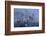 Germany, Bavaria, Neuschwanstein Castle in Winter, Morning Fog, Schwangau Near FŸssen-Uwe Steffens-Framed Photographic Print