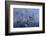 Germany, Bavaria, Neuschwanstein Castle in Winter, Morning Fog, Schwangau Near FŸssen-Uwe Steffens-Framed Photographic Print