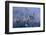 Germany, Bavaria, Neuschwanstein Castle in Winter, Morning Fog, Schwangau Near FŸssen-Uwe Steffens-Framed Photographic Print