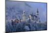 Germany, Bavaria, Neuschwanstein Castle in Winter, Morning Fog, Schwangau Near FŸssen-Uwe Steffens-Mounted Photographic Print