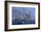 Germany, Bavaria, Neuschwanstein Castle in Winter, Morning Fog, Schwangau Near FŸssen-Uwe Steffens-Framed Photographic Print