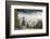 Germany, Bavaria, Penzberg, Moor, Conifers-Ralf Gerard-Framed Photographic Print