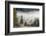 Germany, Bavaria, Penzberg, Moor, Conifers-Ralf Gerard-Framed Photographic Print