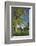 Germany, Bavaria, Regensburg, Danube Meadows, Jahn Island-Chris Seba-Framed Photographic Print