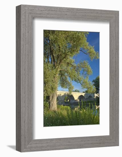 Germany, Bavaria, Regensburg, Danube Meadows, Jahn Island-Chris Seba-Framed Photographic Print