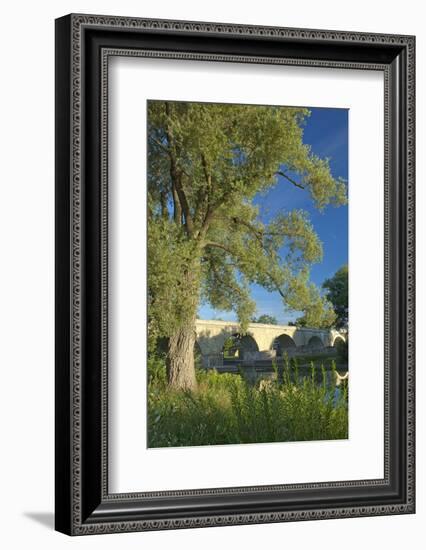 Germany, Bavaria, Regensburg, Danube Meadows, Jahn Island-Chris Seba-Framed Photographic Print