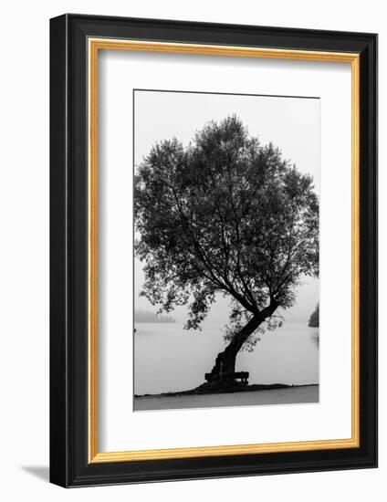 Germany, Bavaria, Schliersee, Shore, Tree-Jule Leibnitz-Framed Photographic Print