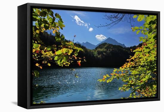 Germany, Bavaria, Sunny Autumn Day, 'Schwansee' (Lake) Near FŸssen-Uwe Steffens-Framed Premier Image Canvas