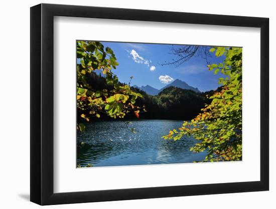 Germany, Bavaria, Sunny Autumn Day, 'Schwansee' (Lake) Near FŸssen-Uwe Steffens-Framed Photographic Print